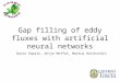 Gap filling of eddy fluxes with artificial neural networks Dario Papale, Antje Moffat, Markus Reichstein