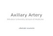 Axillary Artery Windsor University School of Medicine akolade osanoto
