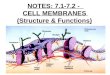 NOTES: 7.1-7.2 - CELL MEMBRANES (Structure & Functions)