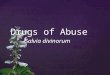 { Drugs of Abuse Salvia divinorum. { Native to southern Mexico Divinity rituals Healing rituals Hallucinogen First recorded in 1939 Only illegal in 5