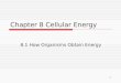 1 Chapter 8 Cellular Energy 8.1 How Organisms Obtain Energy