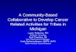 Native Cancer Collaborations: DeDecker Consulting, Intertribal Council of Michigan and Native American Cancer Research 1 A Community-Based Collaborative