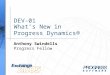 DEV-01 What’s New in Progress Dynamics ® Anthony Swindells Progress Fellow