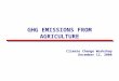 GHG EMISSIONS FROM AGRICULTURE Climate Change Workshop December 12, 2000
