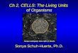 Ch 2, CELLS: The Living Units of Organisms Sonya Schuh-Huerta, Ph.D. Human embryonic stem cells, S. Huerta