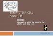 EUKARYOTIC* CELL STRUCTURE REMEMBER: You need to write the notes on the slides with this icon. Interactive Cell