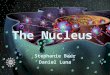 The Nucleus Stephanie Baur Daniel Luna. Eukaryotic vs. Prokaryotic Location of DNA – Nucleus vs. Nucleoid – Double membrane or Non membrane-enclosed