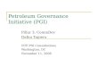 Petroleum Governance Initiative (PGI) Pillar 3: CommDev Dafna Tapiero NTF-PSI Consultations Washington, DC November 11, 2008