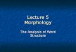Lecture 5 Morphology The Analysis of Word Structure