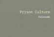Colorado.  D.O.C. – 23 years 1991-2014 (retired) Limon Correctional Facility – 17 years  Officer - Security, Housing, Transport,  Sergeant - Visiting,