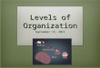 Levels of Organization September 15, 2011. Two types of organisms  Unicellular (single-celled) organisms : the single cell performs all life functions