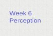 Week 6 Perception Sensation & Perception Sensation  Light bounces off people ‚ Light forms image on retina  Image generates electrical signals in receptors