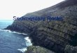 Sedimentary Rocks. Land sedimentary environments Mountains – Formed on bedrock. Steep slopes allow sediment to travel far. Desert – wind picks us fine
