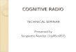 COGNITIVE RADIO TECHNICAL SEMINAR Presented by Sangeetha Nandan (1ay05cs057)