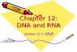 Chapter 12: DNA and RNA Section 12-1: DNA. Interest Grabber Section 12-1 1. On a sheet of paper, write the word cats. List the letters or units that make