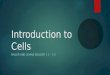 Introduction to Cells MILLER AND LEVINE BIOLOGY 7.1 – 7.2