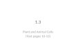 1.3 Plant and Animal Cells (Text pages 10-13). Big Idea What are the similarities and differences between plant and animal cells What are the important