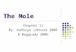 The Mole Chapter 11 By: Kathryn Johnson 2008 & BuggLady 2006