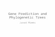 Gene Prediction and Phylogenetic Trees Jared Mimms