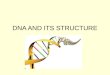 DNA AND ITS STRUCTURE. DNA is located inside the nucleus of eukaryotic cells