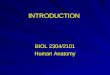 INTRODUCTION BIOL 2304/2101 Human Anatomy. Chapter objectives 1. Define anatomy and compare the different disciplines of anatomy 2. Recognize hierarchy