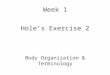 Week 1 Hole’s Exercise 2 Body Organization & Terminology