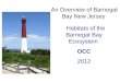 An Overview of Barnegat Bay New Jersey Habitats of the Barnegat Bay Ecosystem OCC 2012