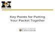 Key Points for Putting Your Packet Together. Titles for Promotion System  Assistant Extension Professional  Associate Extension Professional  Extension