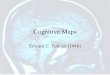 Cognitive Maps Edward C. Tolman (1948). Who is Tolman? First of all he is, or at least considers himself a behaviorist. In the article he mentions two