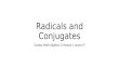 Radicals and Conjugates Eureka Math Algebra 2 Module 1 Lesson 9