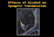 Effects of Alcohol on Synaptic Transmission. Why is Alcohol Used and Abused?