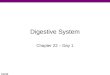 3/24/08 Digestive System Chapter 22 – Day 1. 3/24/08 Digestive system  Respiratory System ♦Brings O 2 to the body  Cardiovascular System ♦Brings O 2