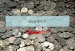 SUPPLY Chapter 5. What is Supply? Supply is the quantities that would be offered for sale and all possible prices that could prevail in the market