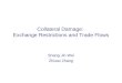 Collateral Damage: Exchange Restrictions and Trade Flows Shang-Jin Wei Zhiwei Zhang