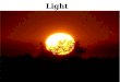 Light. All Light is Not Equal South 5 or more hours of direct sun Sun all Day (Dusk to Dawn) Sun direct Mid-Day Light = Intense Light or Full Sun Tolerate