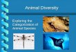 Animal Diversity Animal Diversity Exploring the Categorization of Animal Species Exploring the Categorization of Animal Species