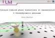 Pressure-induced phase transitions in nanomaterials A thermodynamics panorama Denis Machon