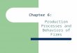 Chapter 6: Production Processes and Behaviors of Firms