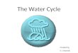 The Water Cycle Created by N. Urbanski Name the 4 types of precipitation 1. Rain 2. Sleet 3. Snow 4. Hail