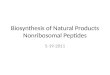 Biosynthesis of Natural Products Nonribosomal Peptides 5-19-2011