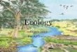 Ecology March 2013 Pre AP biology. What is an ecosystem? Ecology is the study of organisms and their interactions with their living and nonliving environment