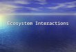 Ecosystem Interactions. In an ecosystem, many interactions are happening all the time. In an ecosystem, many interactions are happening all the time