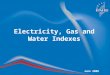 Electricity, Gas and Water Indexes June 2008. 2 Electricity Statistics A survey on generation and distribution of electricity is carried out since 1990