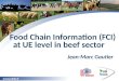 Www.idele.fr Food Chain Information (FCI) at UE level in beef sector Jean-Marc Gautier