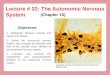 Lecture # 22: The Autonomic Nervous System (Chapter 15) Objectives: 2- Define the autonomic nervous system, and compare its anatomy with that of the somatic