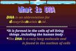 DNA is an abbreviation for d eoxyribo n ucleic a cid. -------------------------------------------------------- *It is formed in the cells of all living