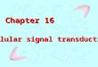 Chapter 16 Cellular signal transduction. A general introduction