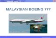 © 2014 wheresjenny.com Malaysian boeing 777 MALAYSIAN BOEING 777