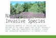 Native and Invasive Species INCREASING NUMBERS OF SPECIES ARE COLONIZING REGIONS OF THE WORLD WHERE THEY DO NOT NATURALLY OCCUR. SOME ARE TRANSPORTED ACCIDENTLY,