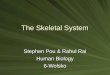 The Skeletal System Stephen Pou & Rahul Rai Human Biology 6-Wolsko
